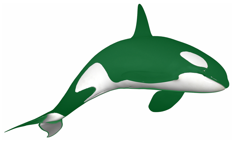 orcas