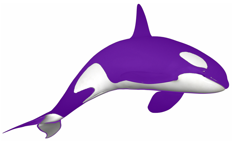 orcas